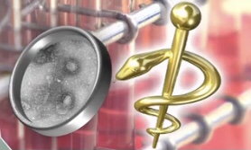  港大将分离出Omicron变异病毒株送往国家疾控中心及两药厂