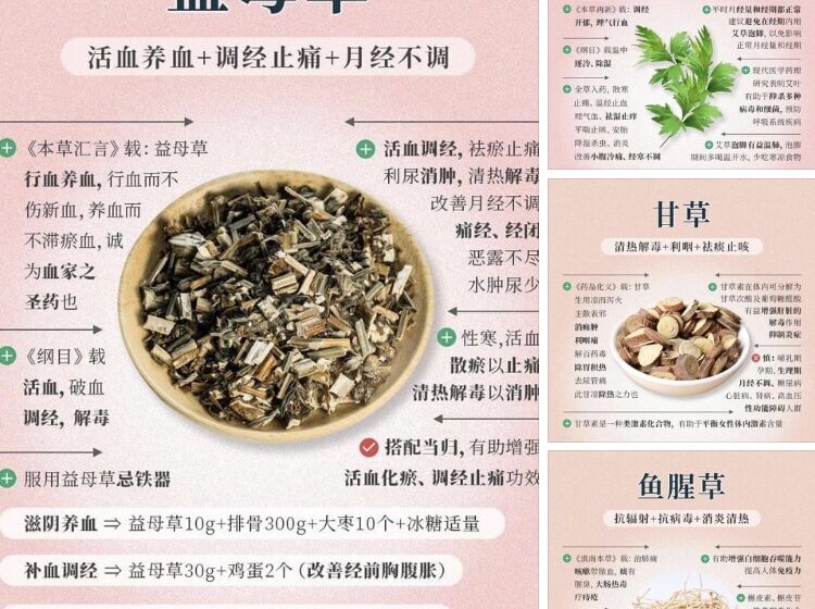  益母草，艾草，甘草，鱼腥草有什么功效？谁可以食用？谁应该要谨慎食用？