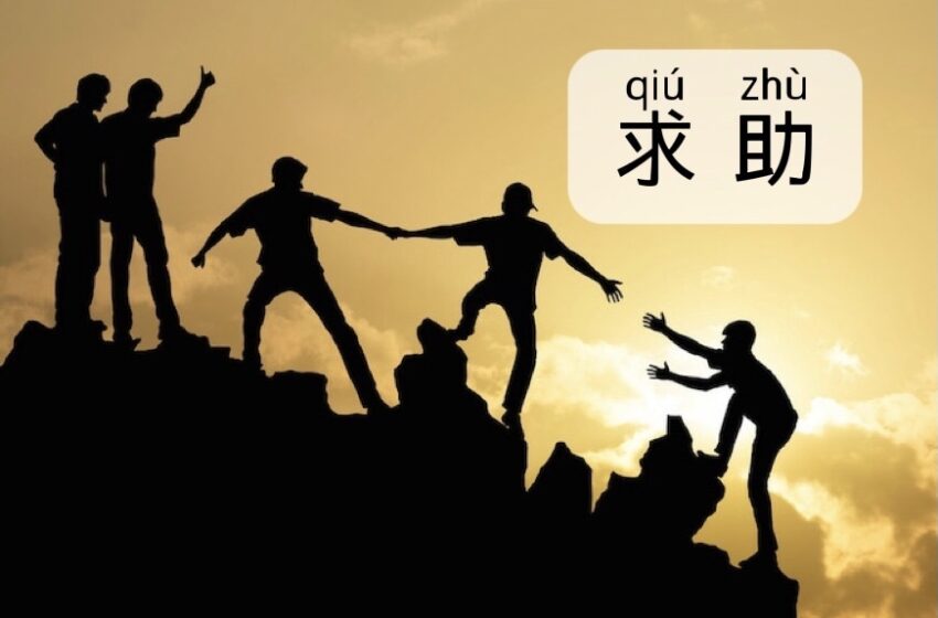  ⚪️求助信