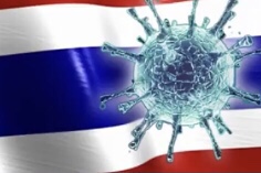  🔵泰国拟今年内将新冠病毒列为风土病