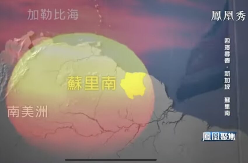  🟢四海寻春 苏里南🇸🇷凤凰聚焦 凤凰秀