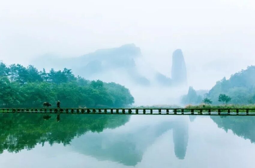  🟠心善 · 心宽 · 心正 · 心安