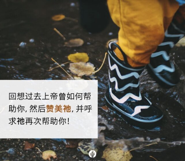  🟣安全获救
