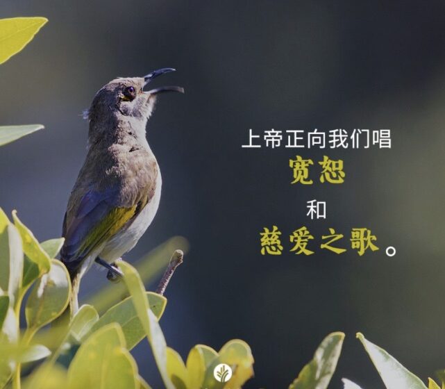  🟣与年龄无关