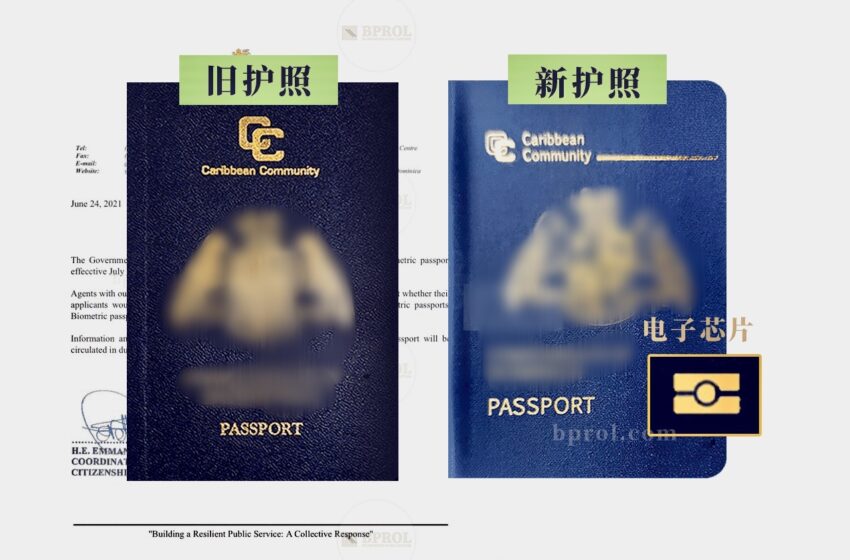  🟢国会通过了电子护照法律