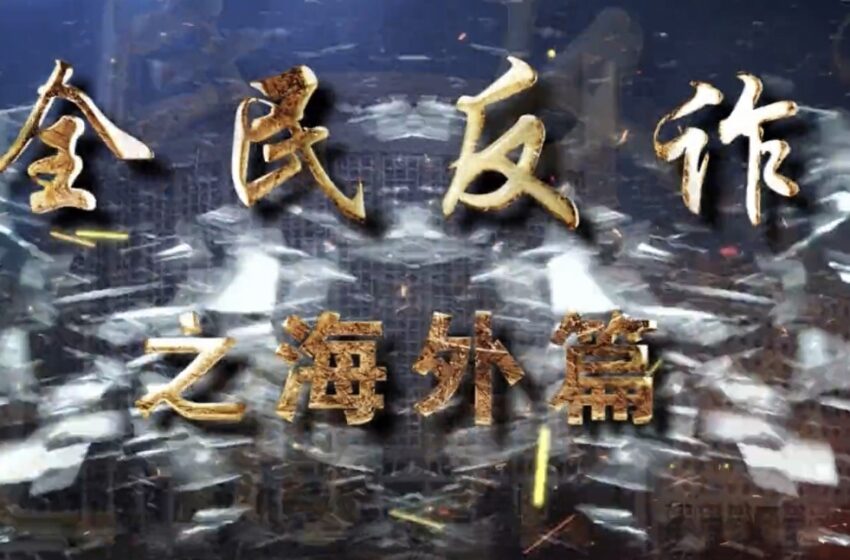  🌟全民反诈之海外篇