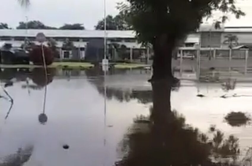  🟢苏里南总兵营因大雨发生洪涝
