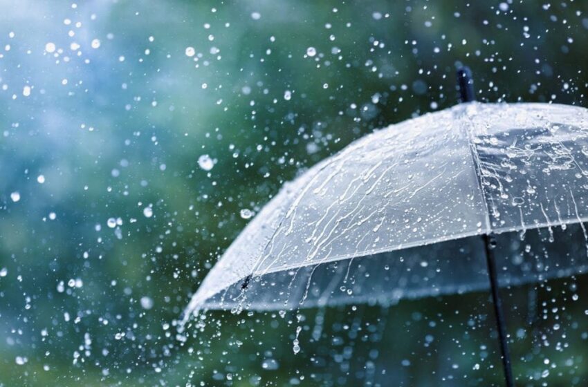  🟣雨