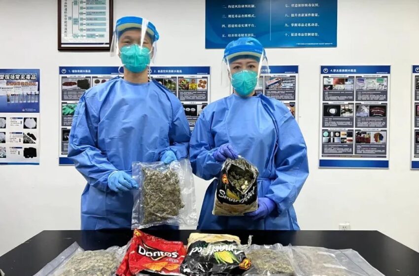  🔴“毒花”伪装成“零食”，广州海关查获一批大麻花