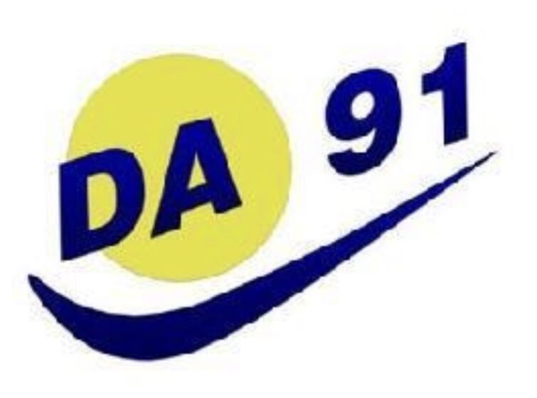 🟢DA‘91党对修改选举制度要求进行全民公投