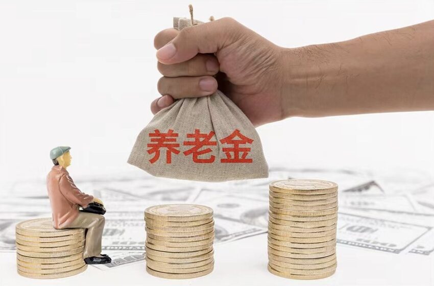  🌟不要放弃您的权利