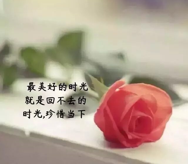  💡10月优质家教  26.「深刻友情」