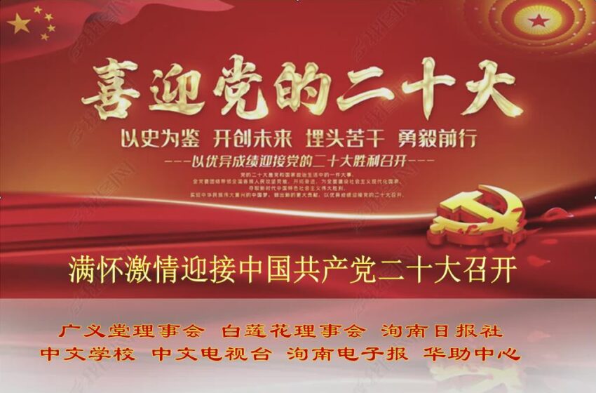  🌟喜迎党的二十大
