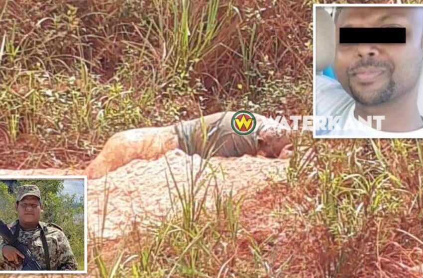  🟢军人神秘死亡案引起执法部门关注，由重案组调查