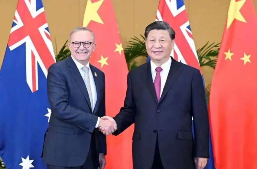  🔴习近平会见澳大利亚总理阿尔巴尼斯