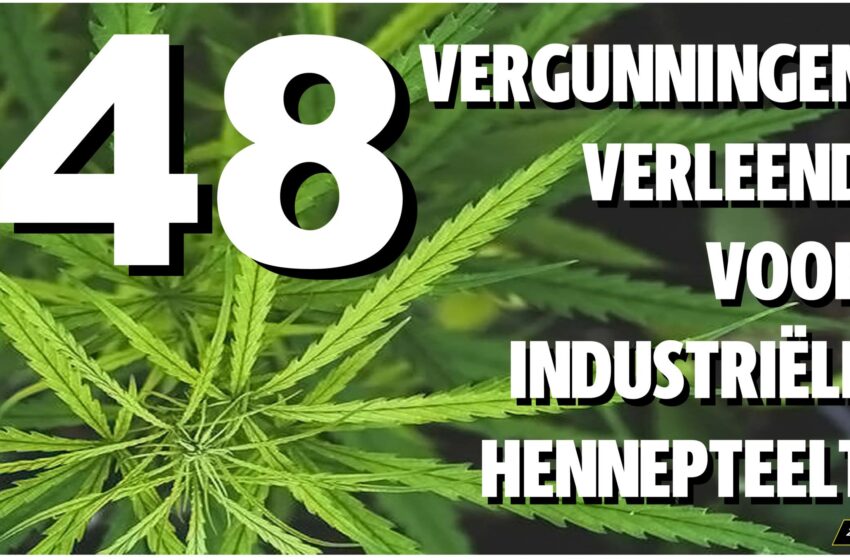  🟢上届政府在工业大麻管理法未通过的情况下已批出48份工业大麻牌照