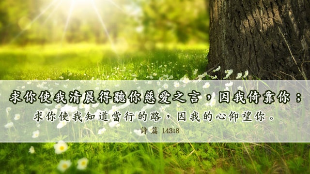  💡EQ家教   26.「家庭的护心喜药」