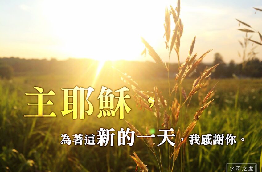  EQ家教   29.「不要让痛苦扎根」