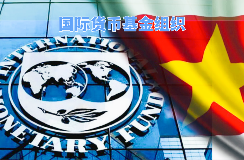  🟢政府希望达成国际货币基金组织的工作目标以获取有利评估