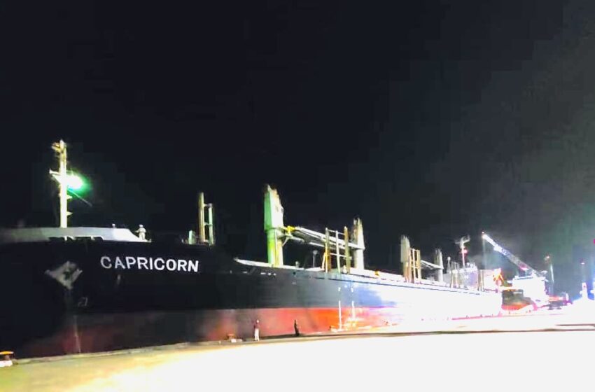  首班中国—苏里南海运直航货轮抵苏