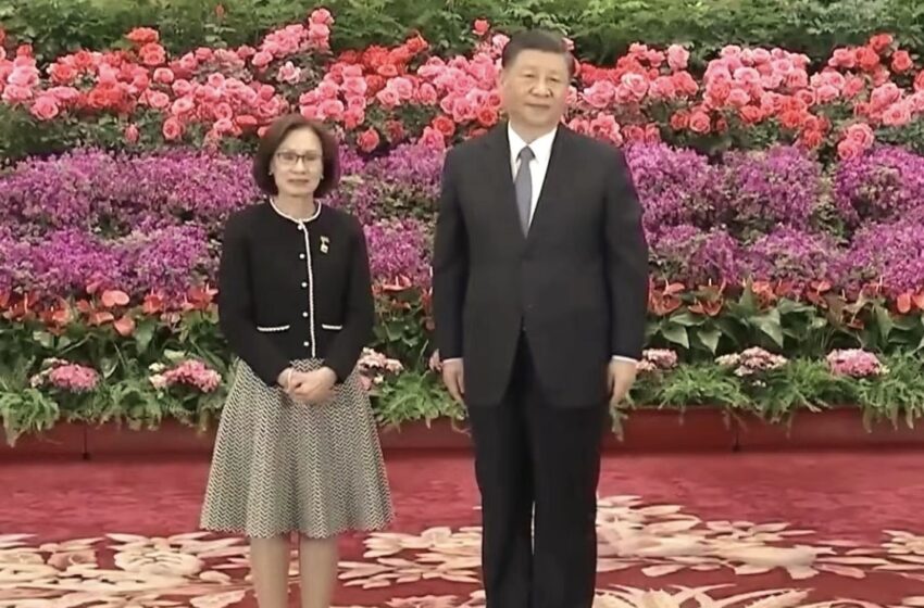  苏里南驻中国大使张碧芬向习近平主席递外交国书