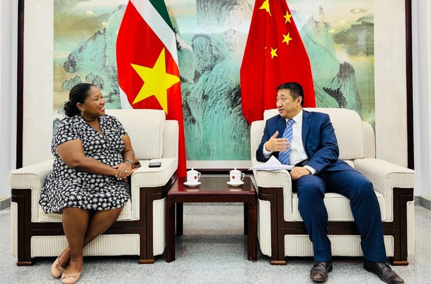  韩镜大使向真理时报谈中方可为苏采金业做的贡献