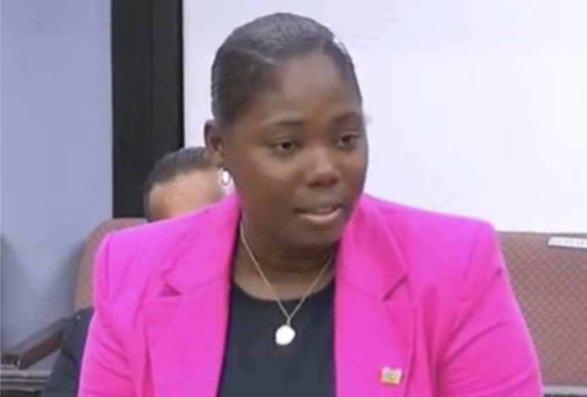  Grachelle Sluisdom已成功加入国会