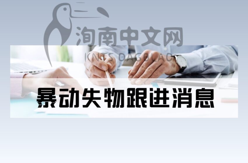  暴动失物跟进消息