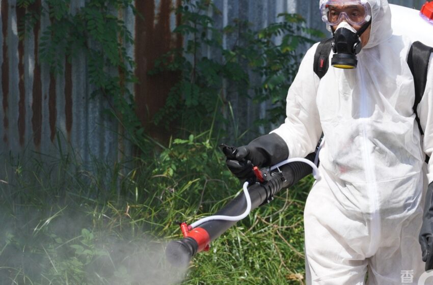  卫生部为应对登革热准备在多个地区喷灭蚊药