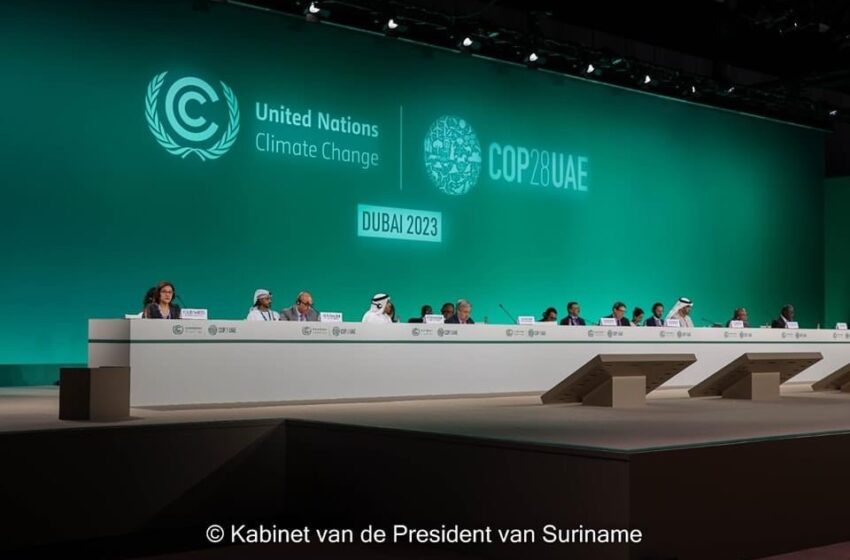  COP28峰会上“损失和损害基金”已成为现实