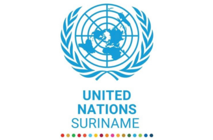  联合国专家们高度赞扬对12月案判决
