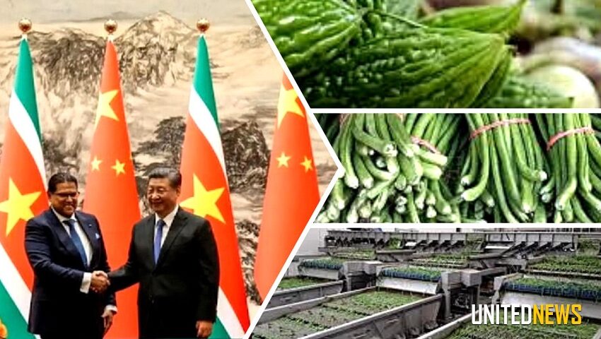  Santokhi总统认为食品领域与中国合作有广阔前景