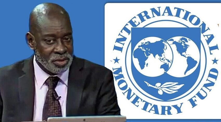  苏里南谈判官Eckhorst指出，未来几个月IMF任务艰巨