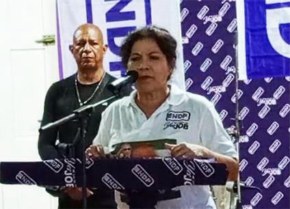  Bouterse-Waldring 称在内政部存在腐败问题