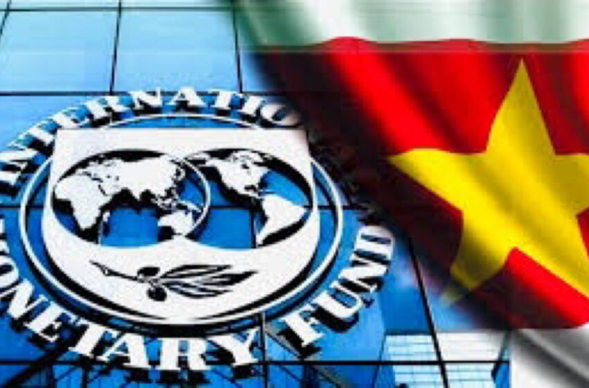  第七次国际货币基金组织（IMF）评估：苏里南需要加强预算纪律