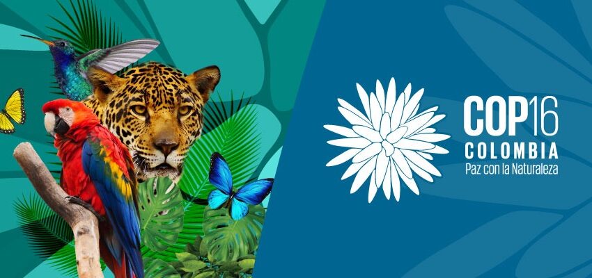  Santokhi总统暂不返国，将前往迈阿密和哥伦比亚参加COP16会议