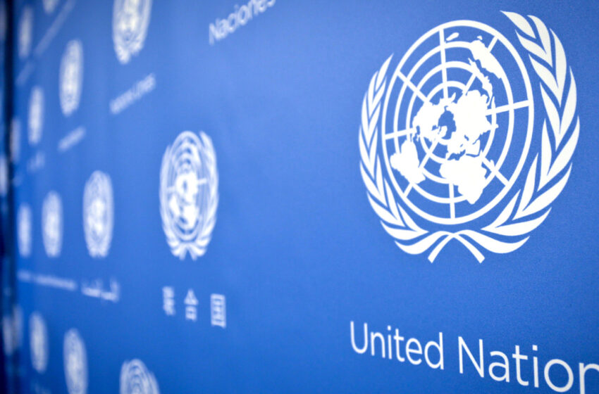  苏里南首次接受《联合国反腐败公约》执行情况评估
