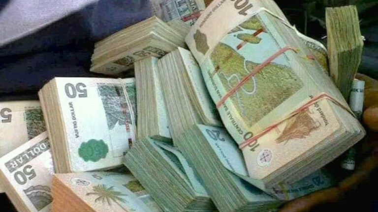  蒙面贼当街下手，偷走车里装钱的包