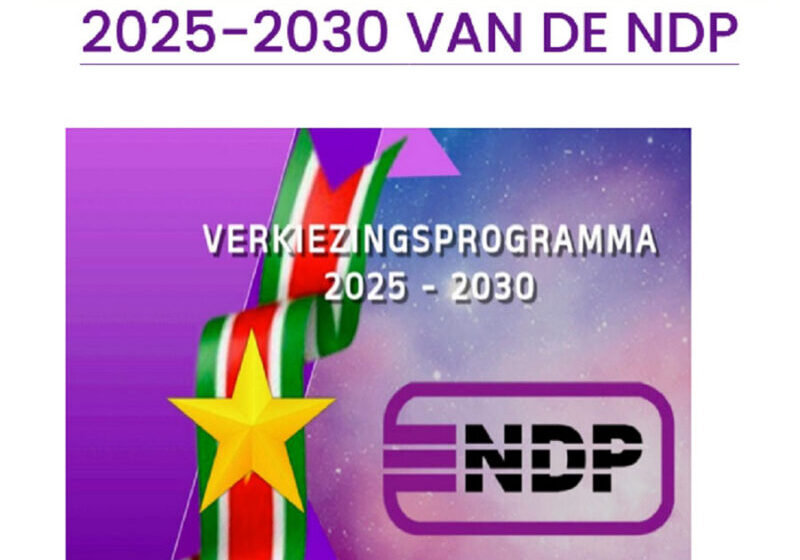  NDP党发布选举政纲：文化事业、艺术、青少年事务、体育将是投资重点