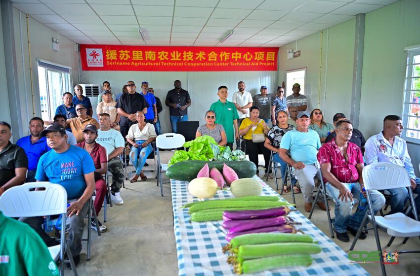  总统Simons考察Saramacca中国援建苏里南农业技术合作中心