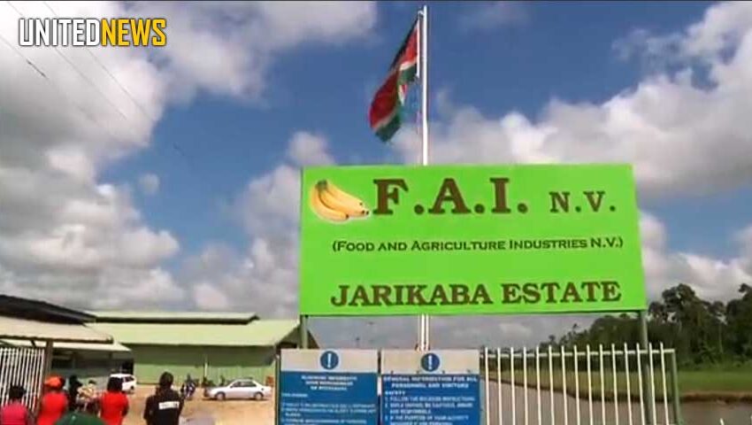  FAI NV公司负债2200万美元