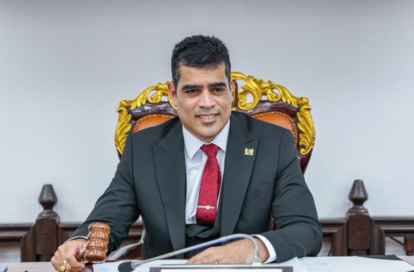  国民议会议长Adhin： “议会将把脉民意，倾听人民声音”