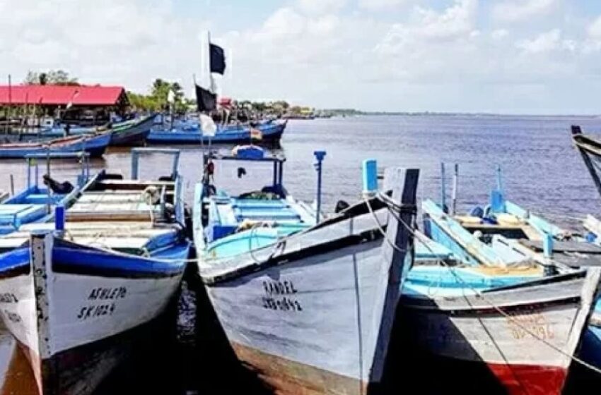  苏里南渔业陷困境，非法捕捞与成本高涨致行业承压