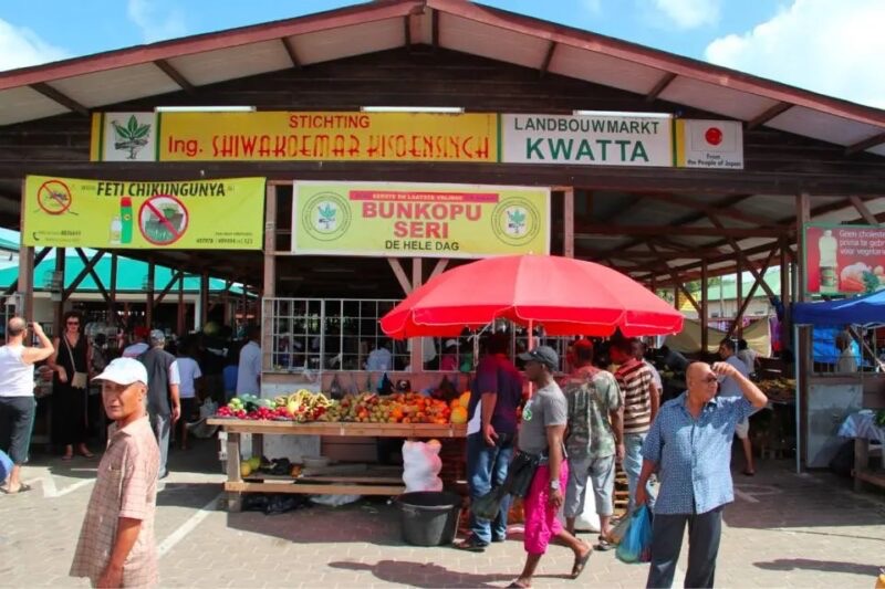  外交部澄清Kwatta市场项目资金使用质疑，日本捐赠款项确认合规落实