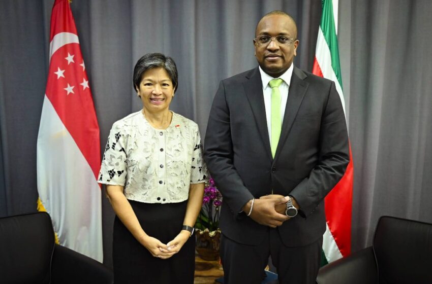  外交部长会见新加坡驻加共体大使