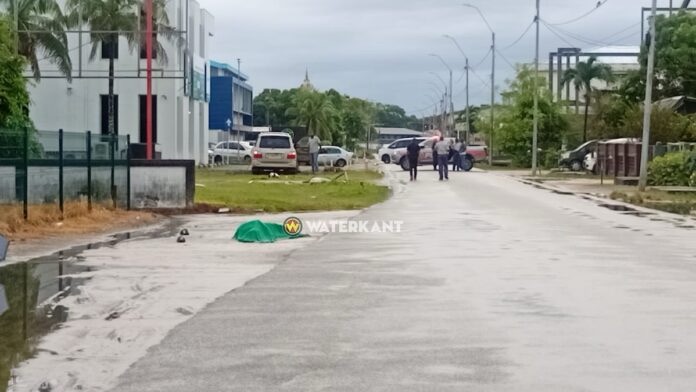  行人在 Verlengde Gemenelandsweg 道路上被撞身亡