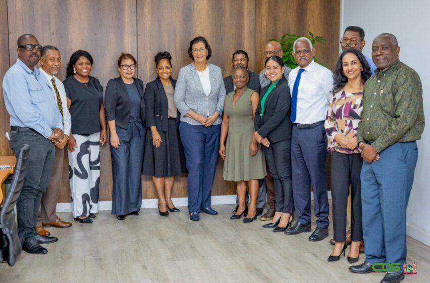  国务院向总统递交工作进展报告，系统性改革初现成效