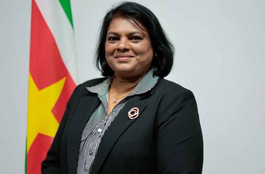  Mathoera：可结体制改革立法提案准备仓促草率