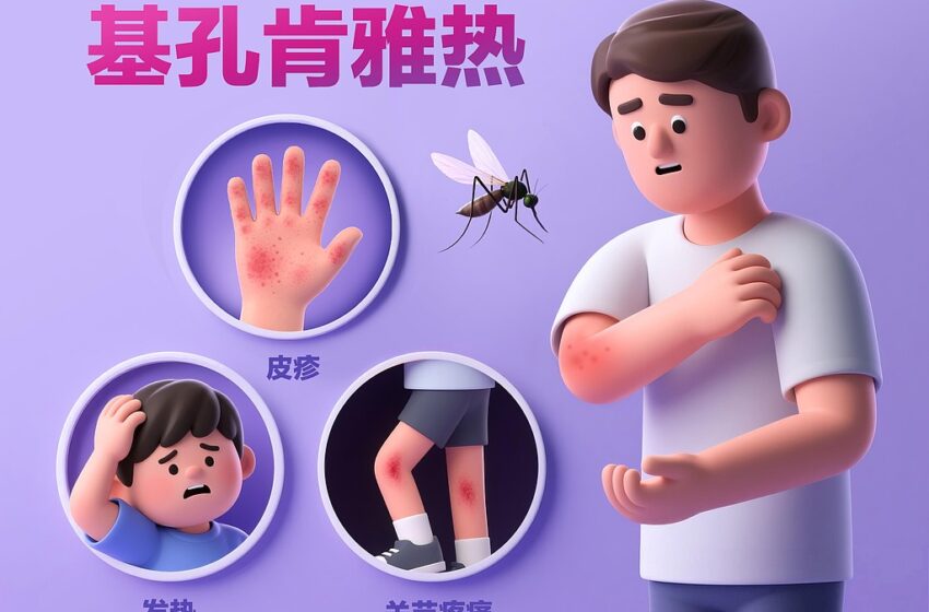  六处居民区被列为基孔肯雅热传播风险区域