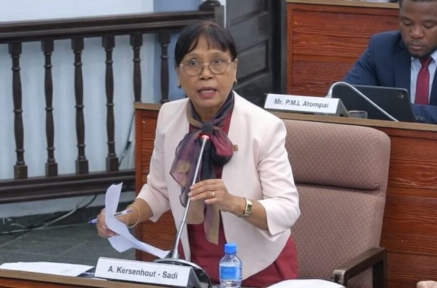  Ann Sadi谈电动自行车乱象：”政府不能继续不管”